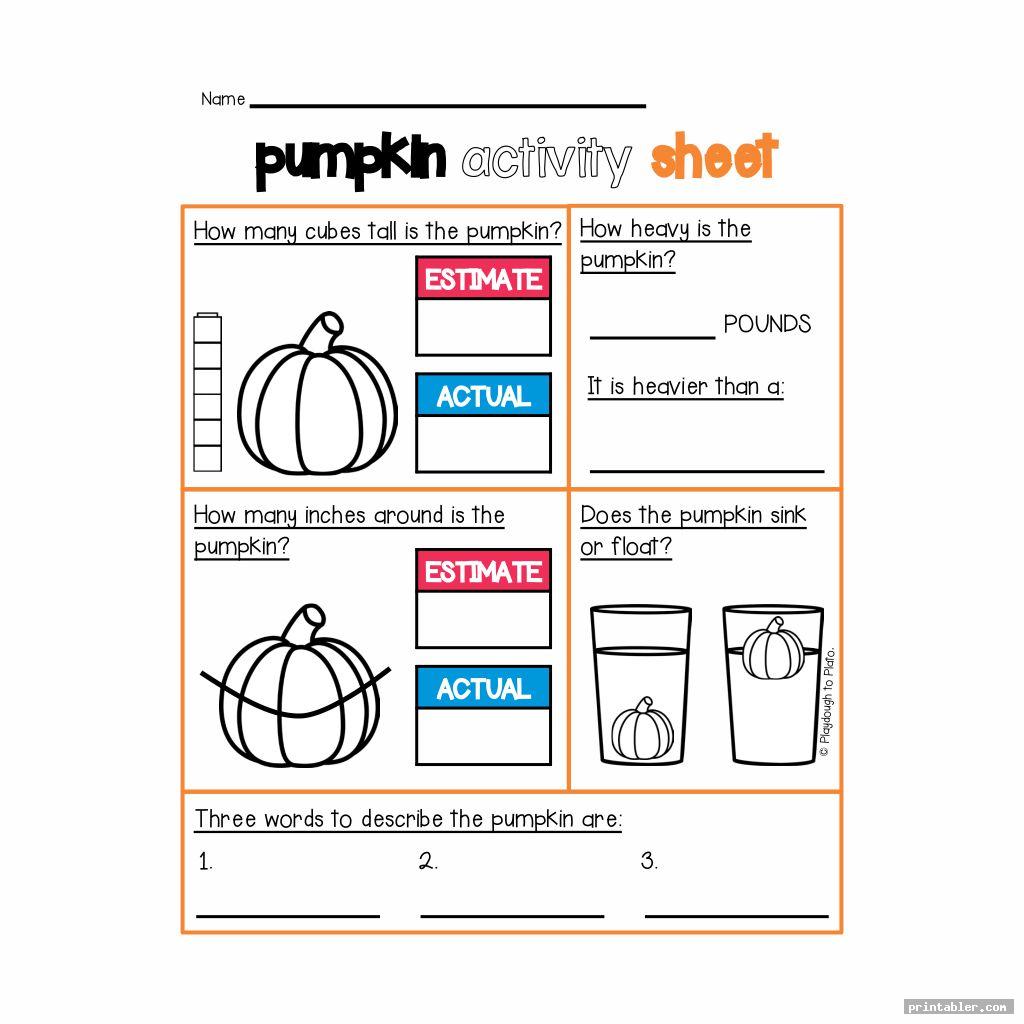 Pumpkin Investigation Worksheet Printable