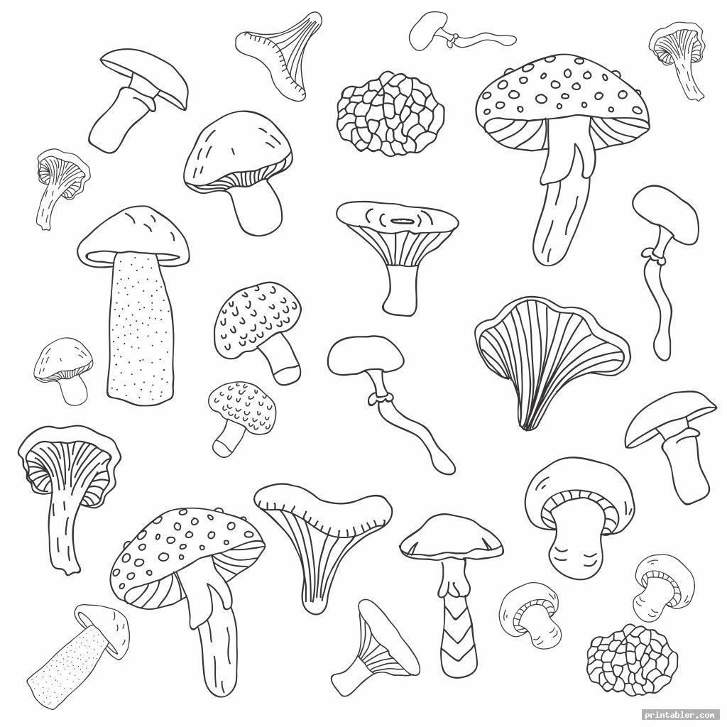 pack of printable trippy mushroom coloring pages