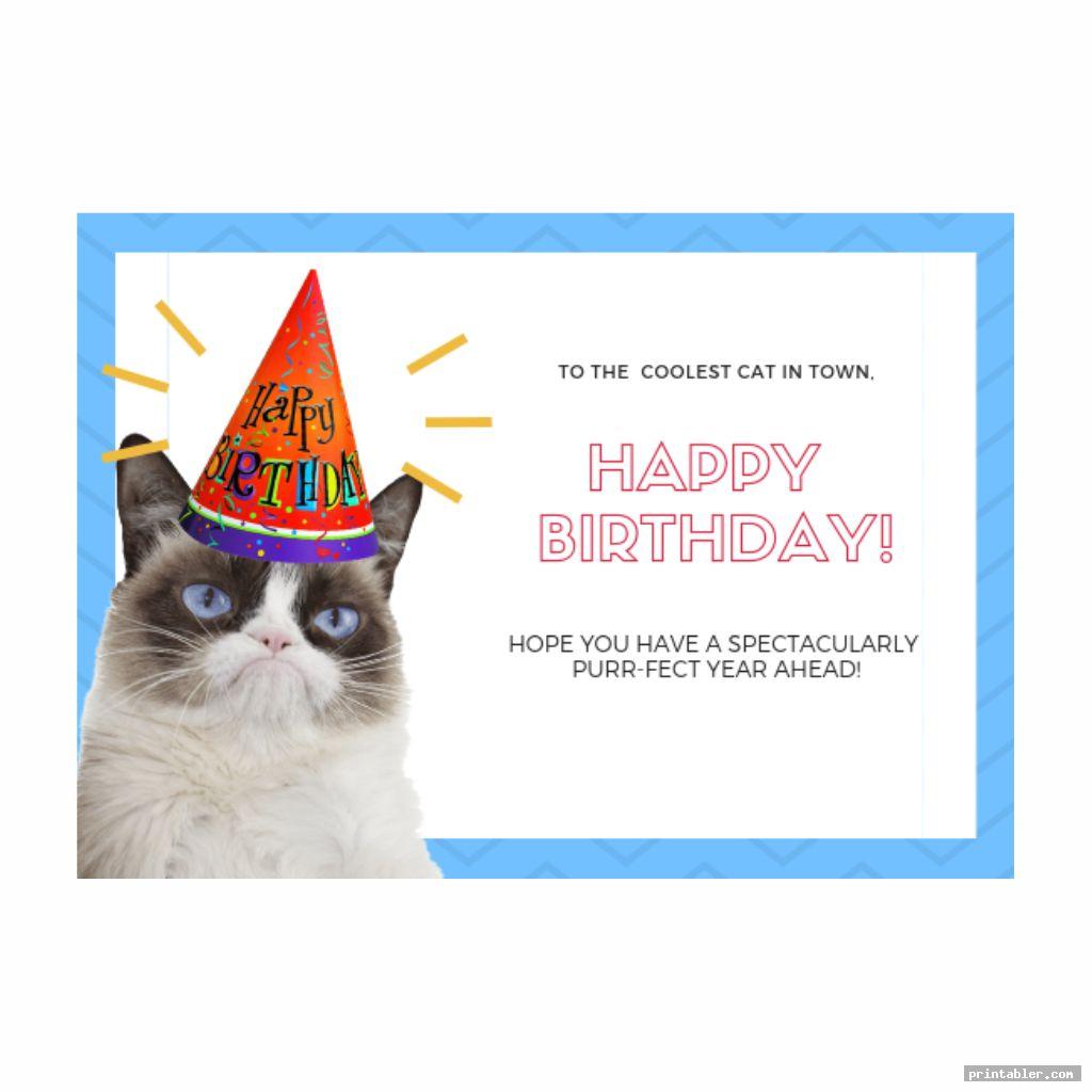 Grumpy Cat Birthday Card Printable