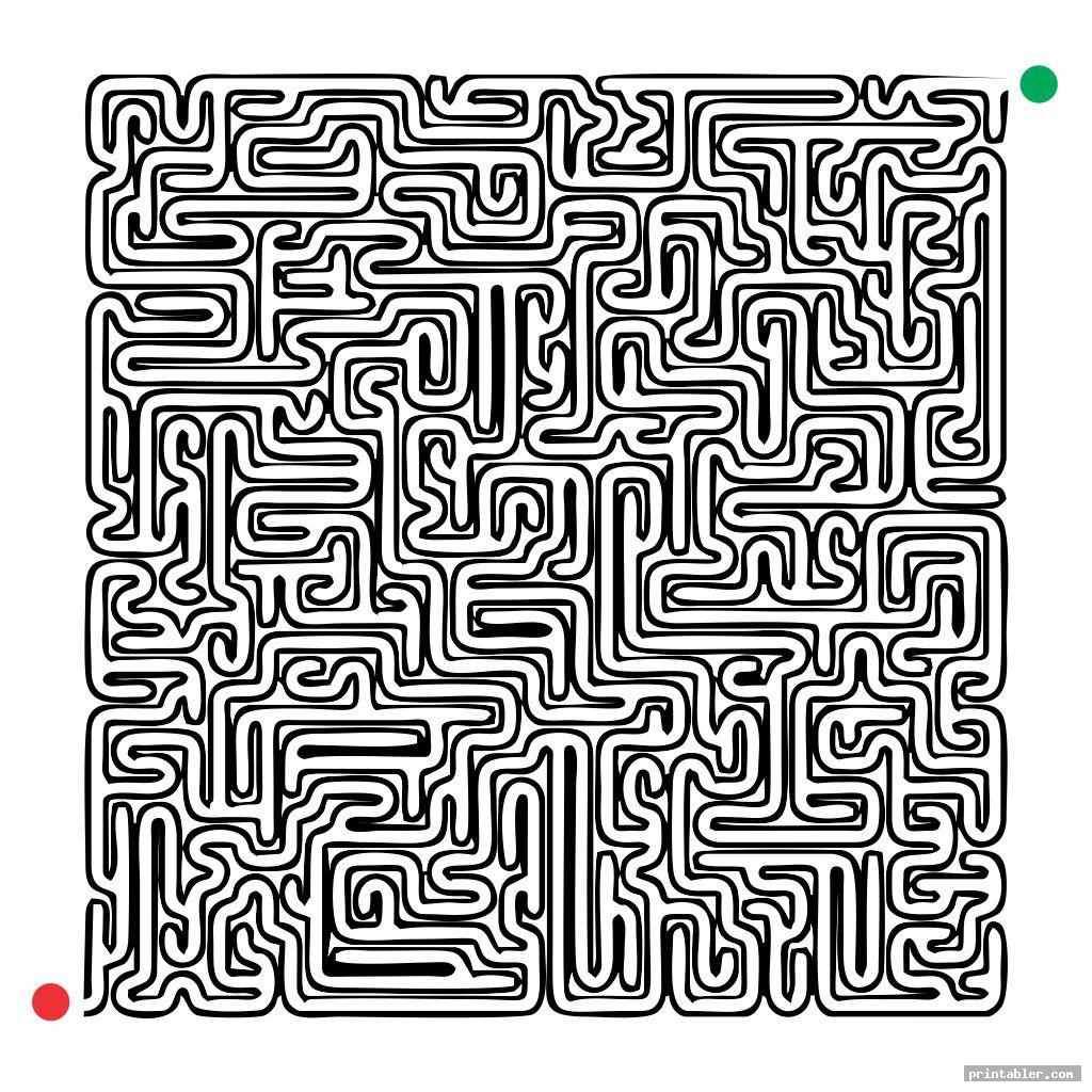 the hardest maze ever made