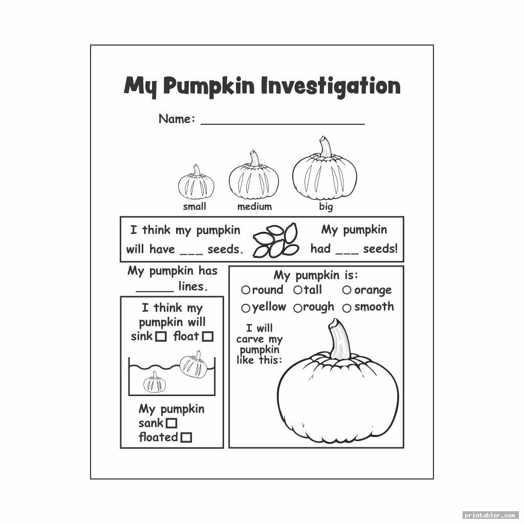 pumpkin investigation worksheet printable for kids