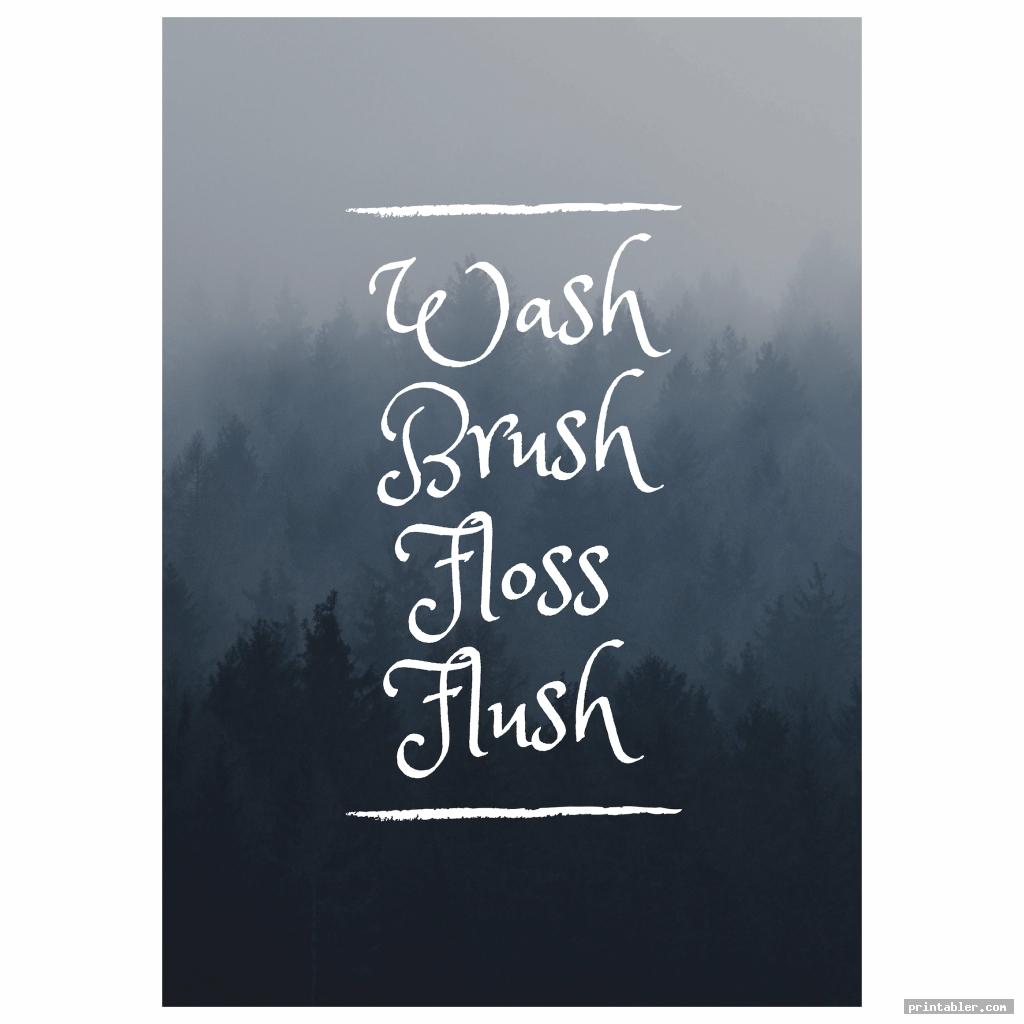 cool wash brush floss flush printable