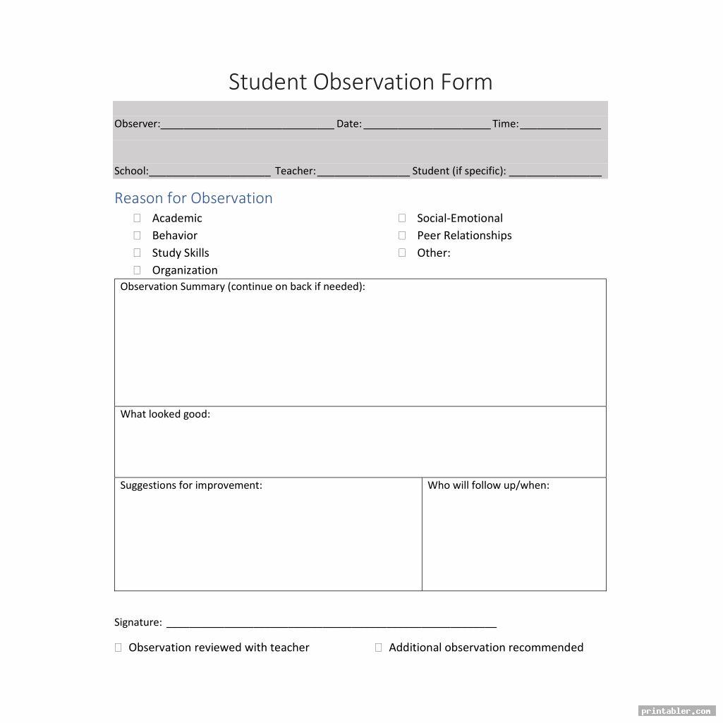 presentation observation form