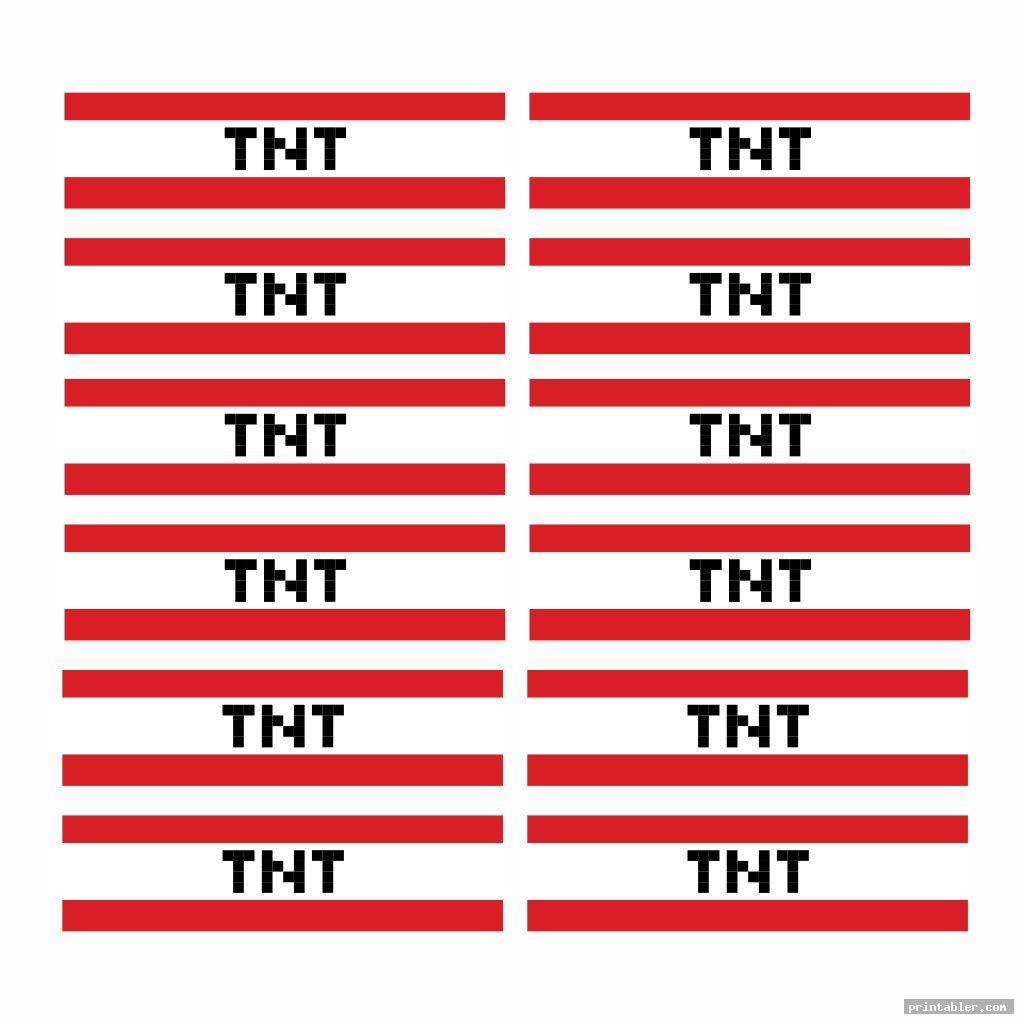 Free Printable Minecraft Tnt