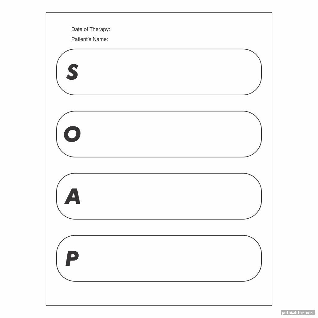 blank printable chiropractic forms soap note