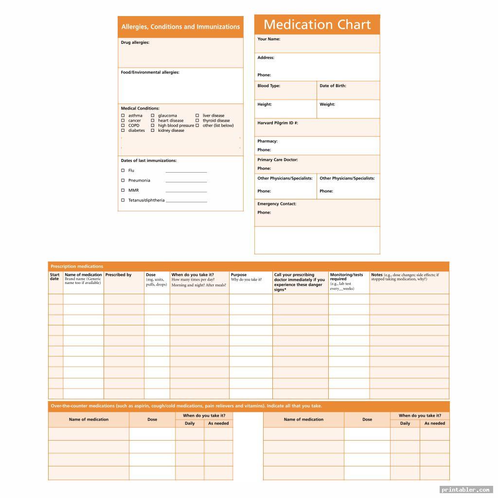 Drug Medication Chart Printable