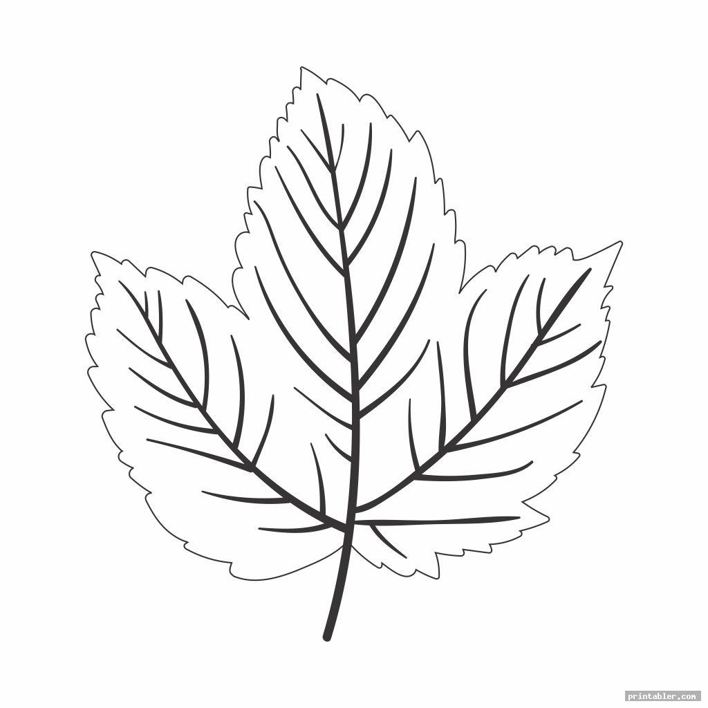 Paper Printable Leaf Patterns