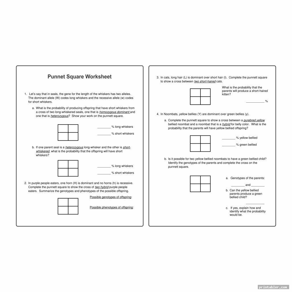 Printable Punnett Square Worksheets