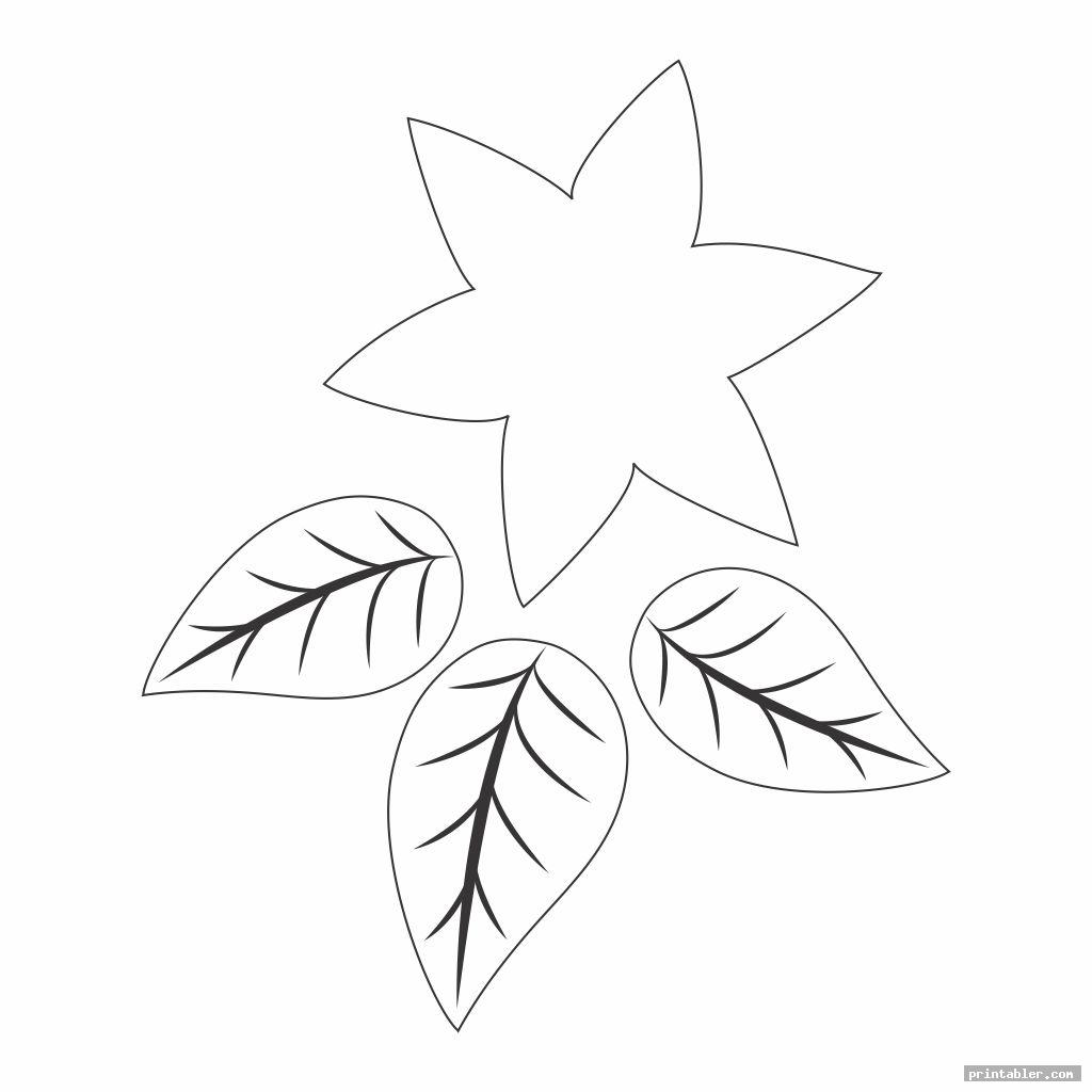 Poinsettia Leaf Template Printable